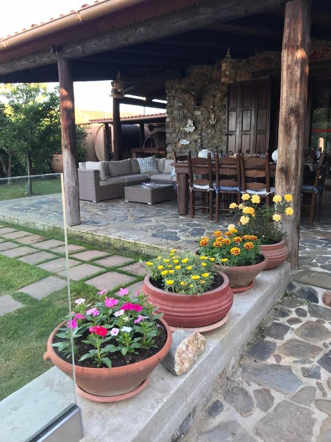 Villa Casa Avocado Tavronitis  Luaran gambar